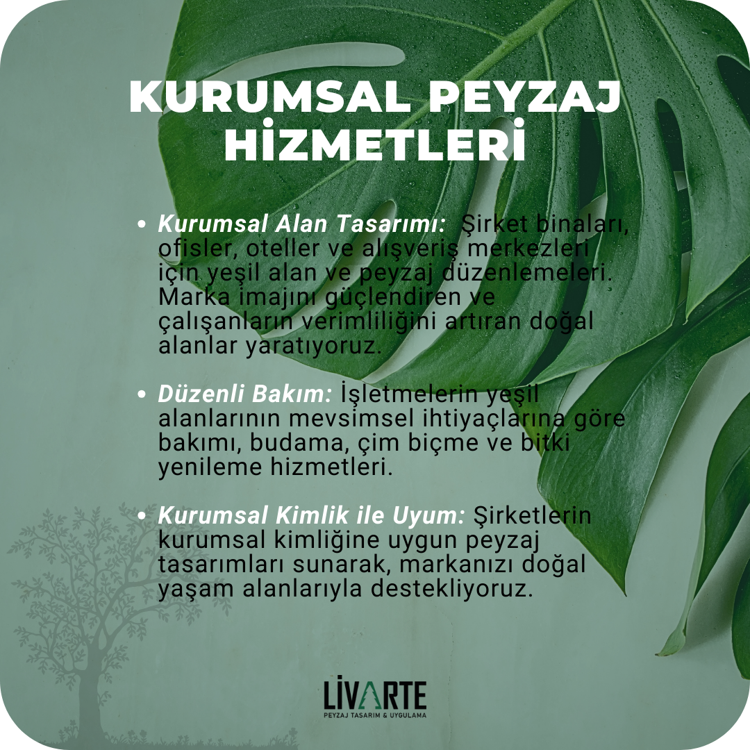 PeyzajSon2