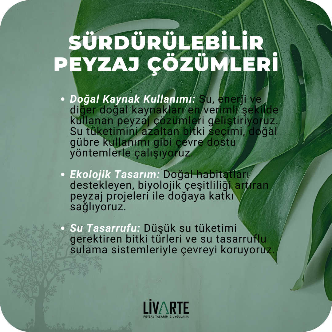 PeyzajSon5