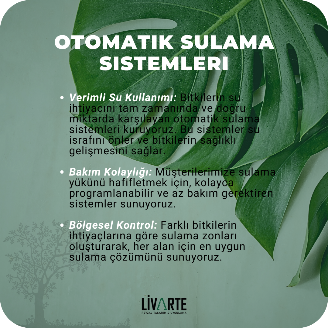 PeyzajSon7