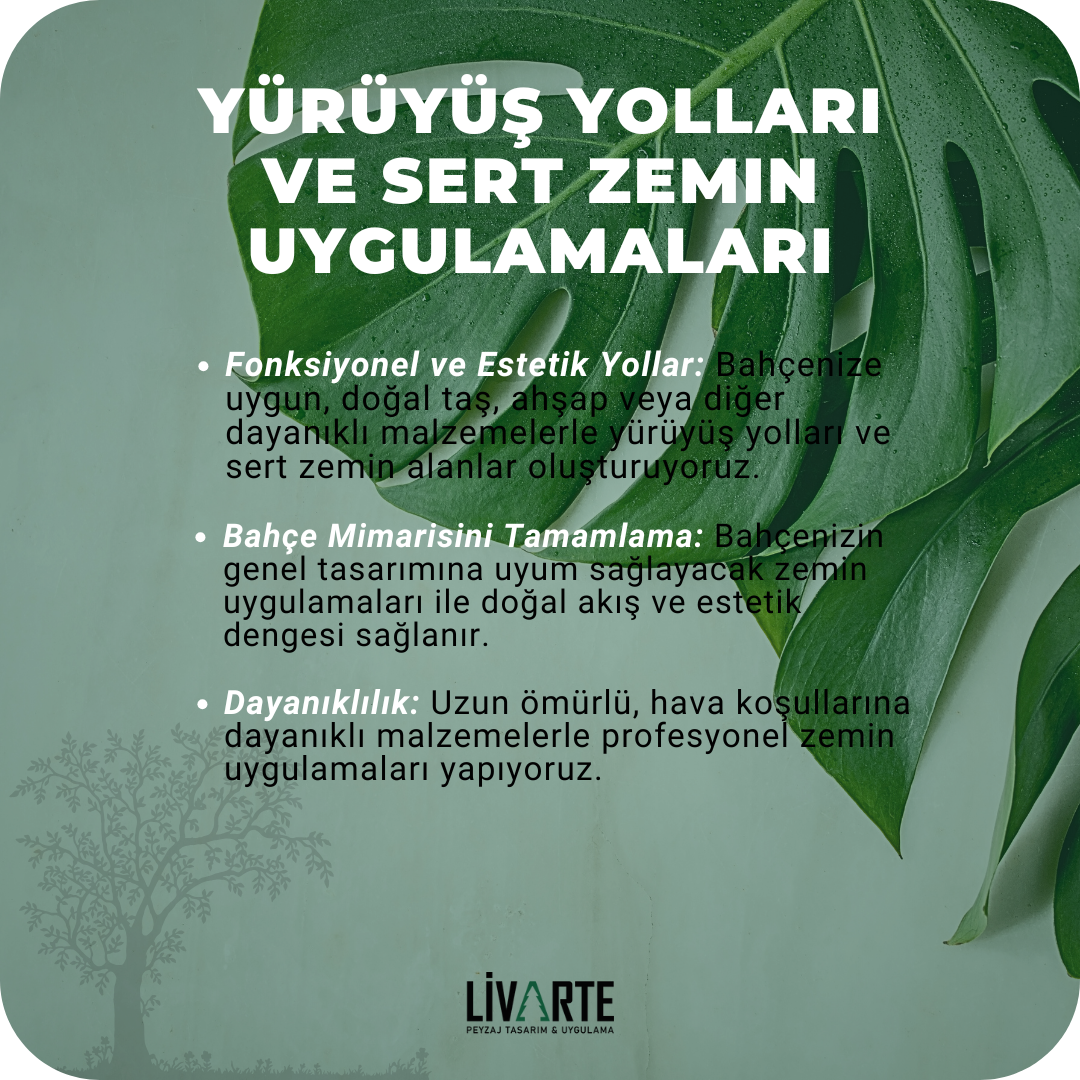 PeyzajSon8